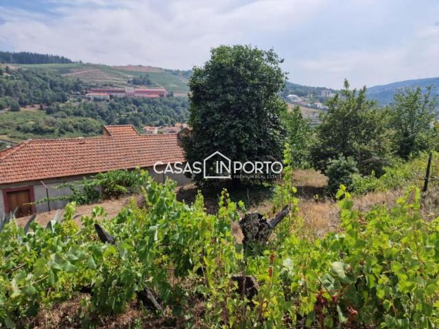 Casa venda em Lamego, Viseu