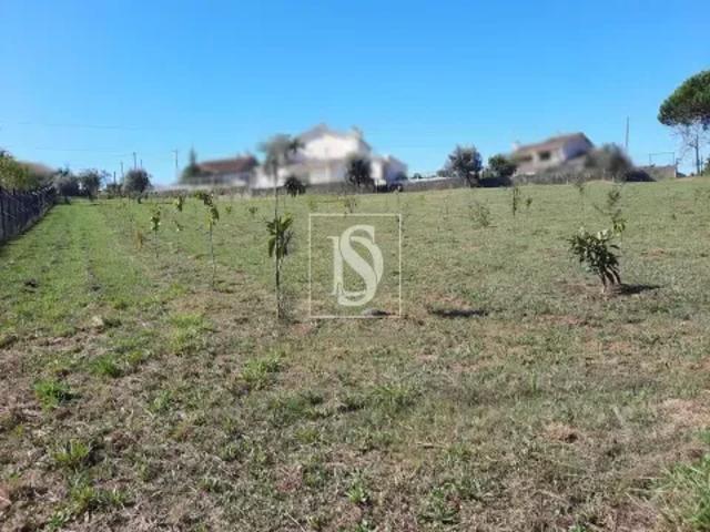 Terreno venda em Viseu
