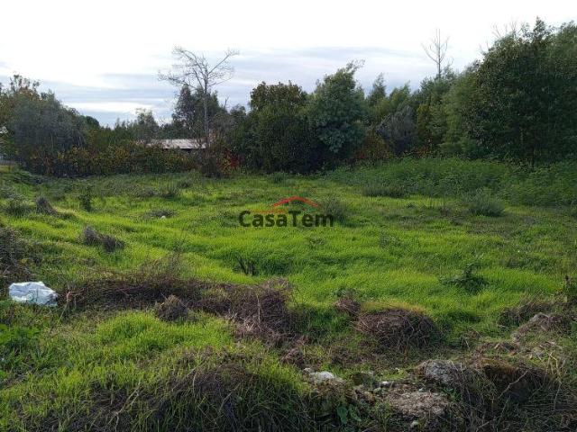 Terreno venda em Nelas, Viseu