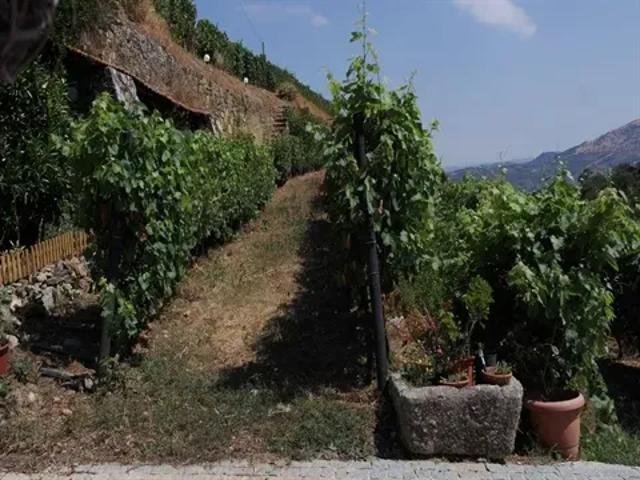 Terreno venda em Viseu