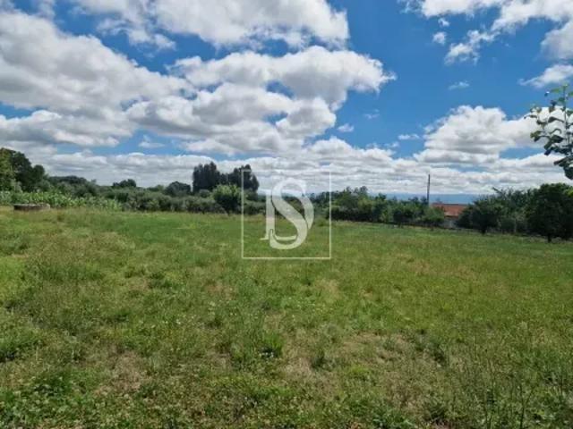 Terreno venda em Viseu