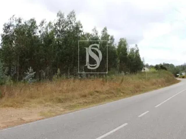 Terreno venda em Viseu