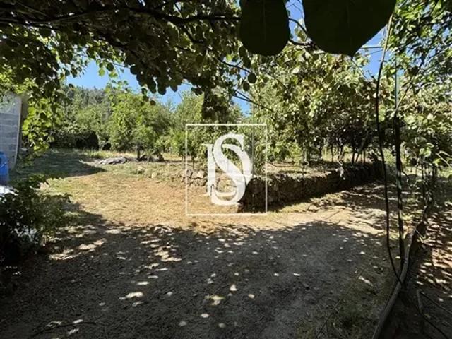 Terreno venda em Viseu