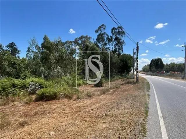Terreno venda em Viseu