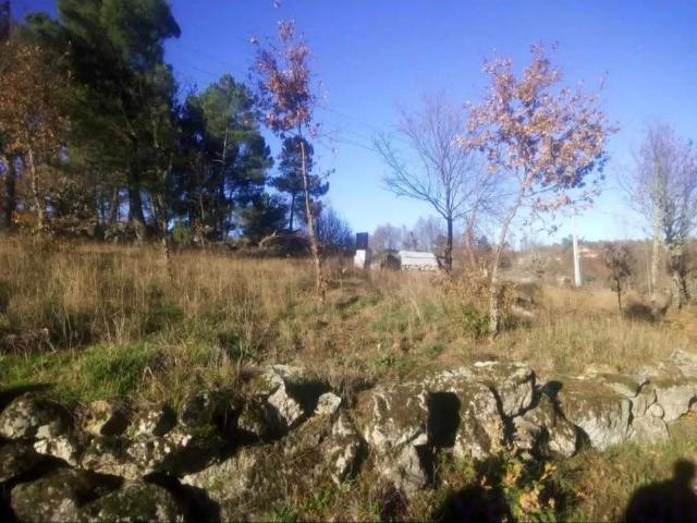 Terreno venda em Viseu