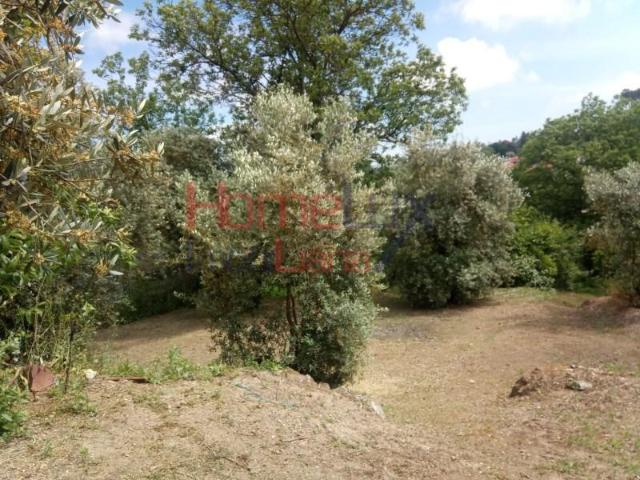 Terreno venda em Viseu