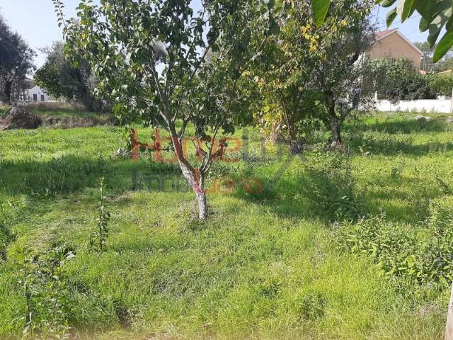 Terreno venda em Viseu