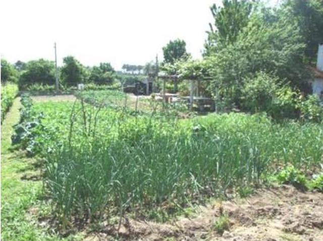 Terreno venda em Viseu