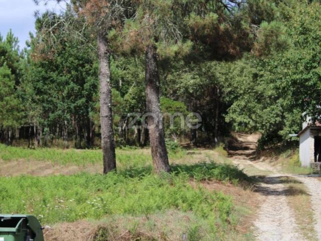Terreno venda em Viseu