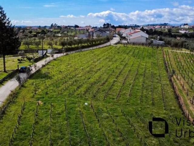 Terreno venda em Viseu