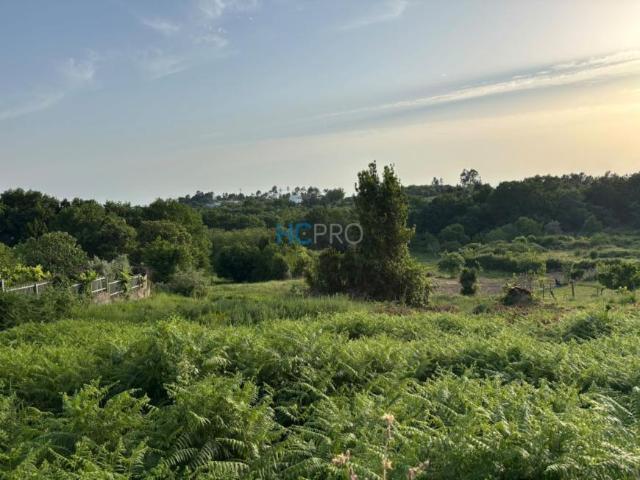 Terreno venda em Tondelinha, Viseu