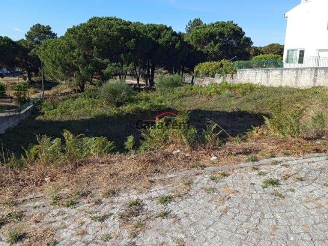 Terreno venda em Repeses e São Salvador, Viseu