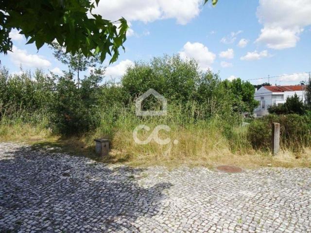 Terreno venda em Viseu