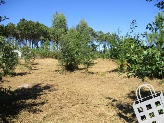 Terreno venda em Viseu