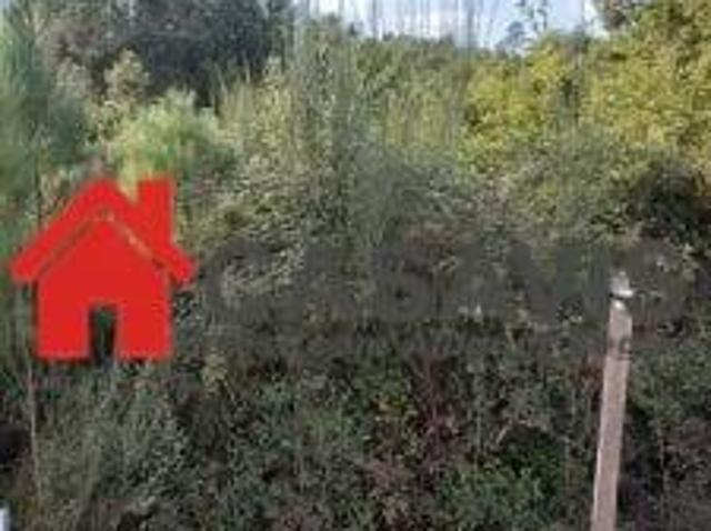 Terreno venda em Viseu