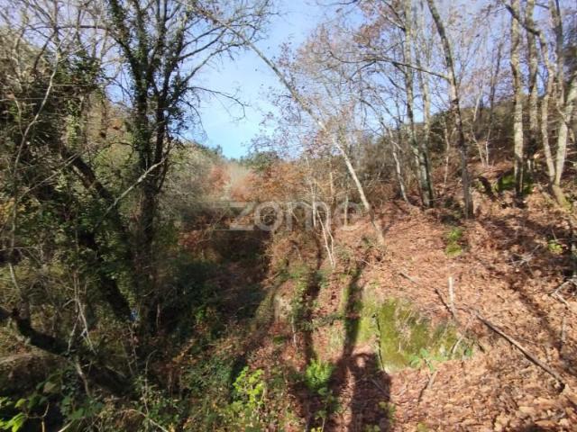 Terreno venda em Viseu