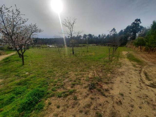 Terreno venda em Viseu