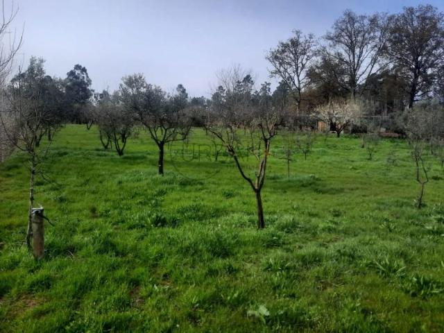 Terreno venda em Viseu