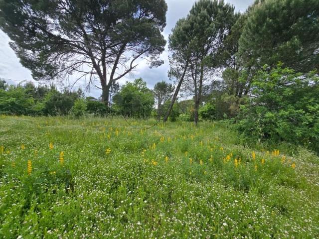 Terreno venda em Viseu