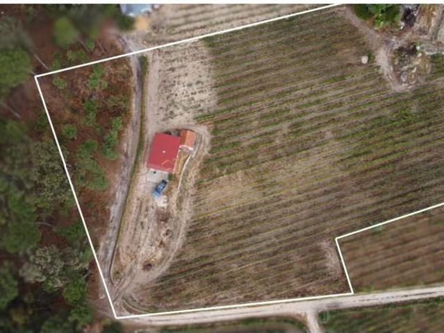 Terreno venda em Viseu
