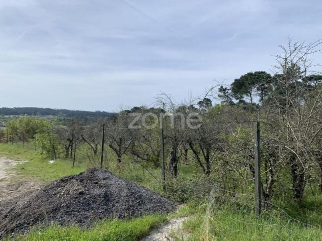 Terreno venda em Viseu