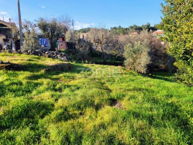 Terreno venda em Viseu