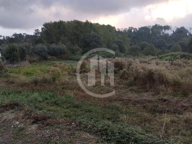 Terreno venda em Viseu