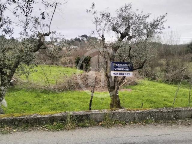Terreno venda em Sarzedelo, Viseu