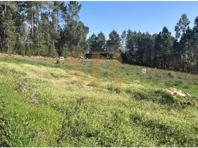 Terreno venda em Viseu