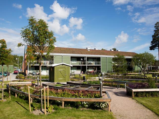 Hus hyra i Vivalla, Örebro