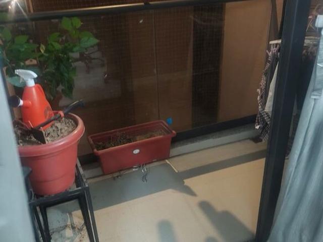 Flat for rent in Ahmadabad, Gujarat