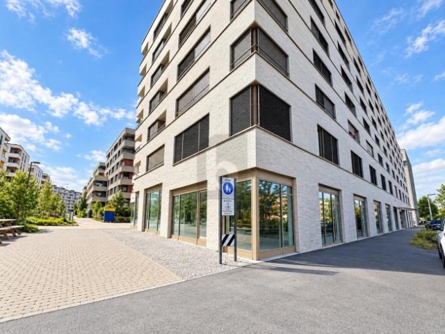 Atelier mieten in Lausanne, District de Lausanne