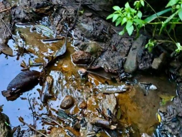 Terreno venda em Região Geográfica Imediata de Pouso Alegre, Senador Amaral
