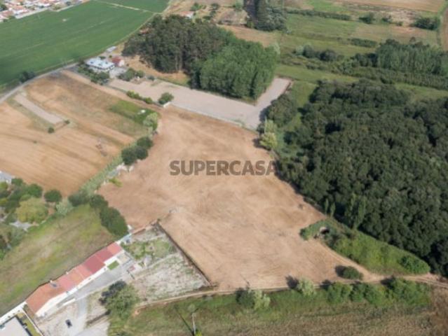Terreno venda em Chousa Velha, Ílhavo