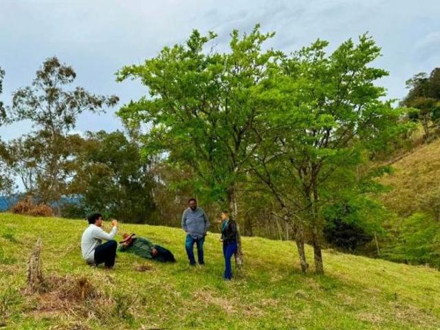 Terreno venda em Cambuí, Região Geográfica Intermediária de Pouso Alegre