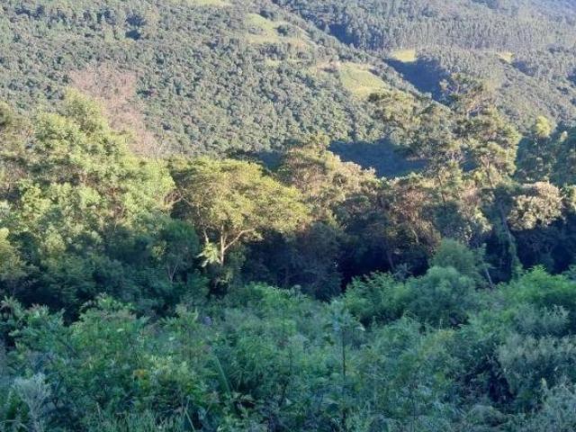 Sítio e chácara venda em Condomínio José Bonifácio, São Francisco de Paula