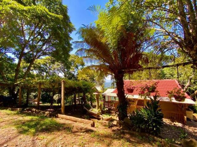 Sítio e chácara venda em Vila do Cedro, Canela