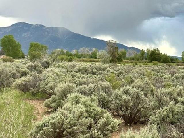 Land for sale in Arroyo Seco, Taos County