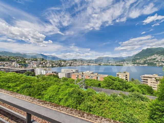 Wohnung kaufen in Paradiso, Tessin