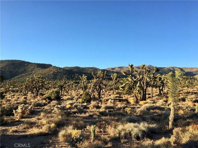 Land for sale in Lucerne Valley, California
