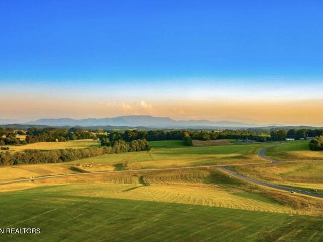 Land for sale in White Pine, East Tennessee