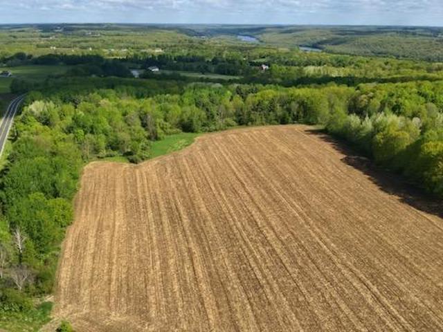 Land for sale in Minnesota