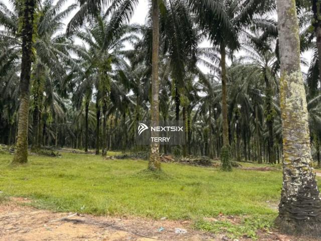 Residential House for sale in Johor