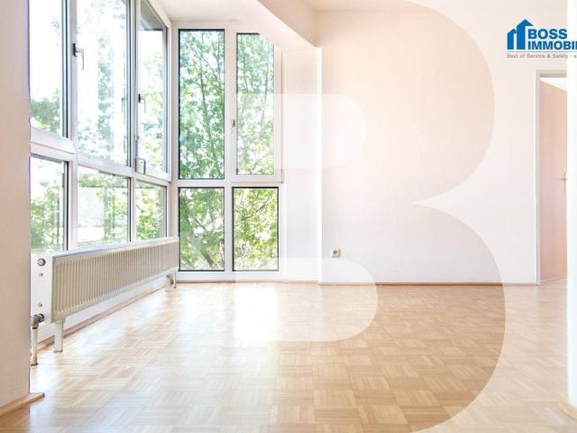 Apartment mieten in Kleinmünchen-Auwiesen, Linz