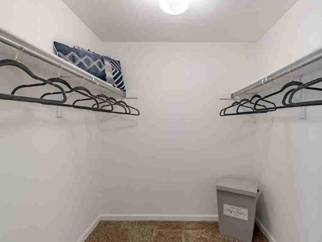 Apartment for rent in Colorado