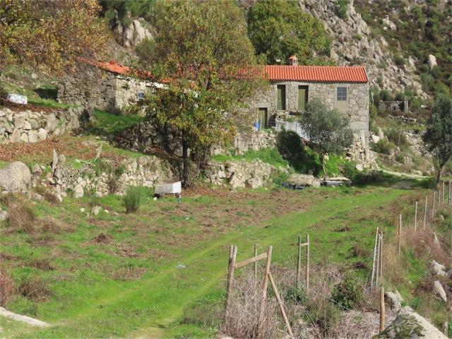 Quinta venda em Castelo Branco
