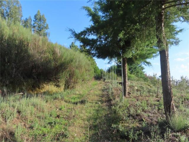 Quinta venda em Castelo Branco