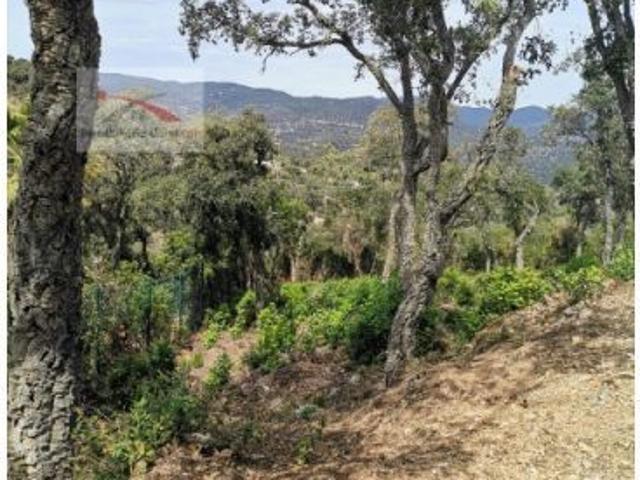 Local Comercial en venta en Serra Brava, la Selva