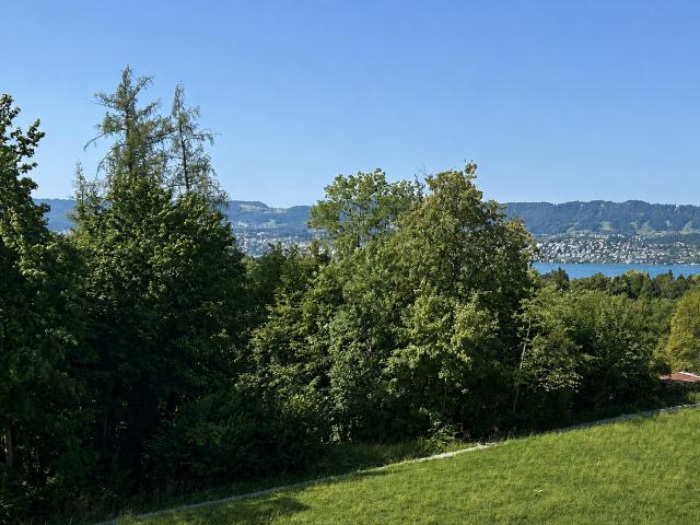 Wohnung kaufen in Einigen, Zürich