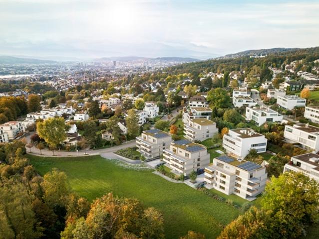 Wohnung kaufen in Einigen, Zürich